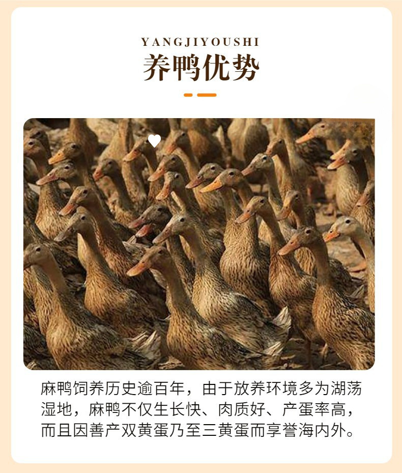 O1CN01EWx4YA1D6X9kSNIcc_!!2218980830167-