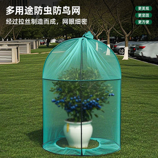 ���x�W��ɏ�F�������ω�׾Gɫ�Ӻ����þW��͸��͸���r���B�W���B