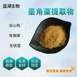 墨角藻提取物墨角藻粉 多比例墨角藻多糖现货供应