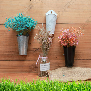 �t����컨�b�Ʒ���Ҡ��Ϸ��g���ins���ڡ��Fˇ�F���׺��b�