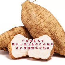 粉葛新鲜葛根无渣粉葛现挖无渣粉农家天然新鲜生葛粉片煲汤