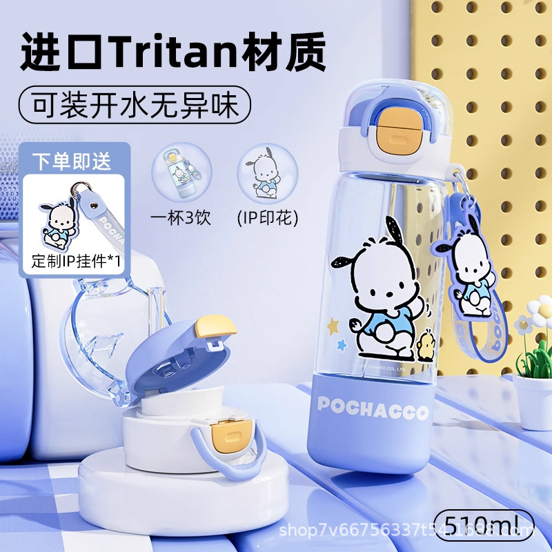 三丽鸥儿童水杯上学专用夏季新款2025高颜值女孩外出便携吸管杯子|undefined