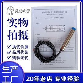 其他仪器仪表;皮带秤;其他仪器仪表
