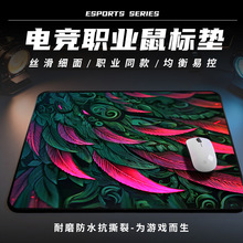 늸�������ˉ| �����������ˉ| �Ӻ�  ��ë��