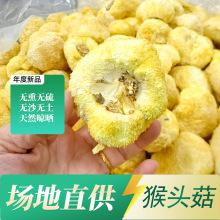 散货批发古田猴头菇干货菌菇佳品餐饮煲汤火锅适用源头产地直发