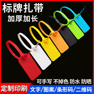 Disposable Plastic Seal Anti-Theft Buckle Logistics Tag Hanging Tag Cable Identification Tag Label Tie Tag