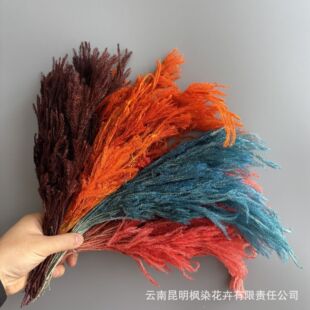 ʯ����������Ļ��hdiy��ĸɻ��廨�Y�л�c�Ҿ��b��Ĕz����