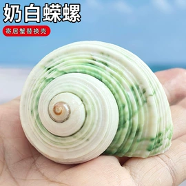 海螺/贝壳;工艺原料;女士单肩包