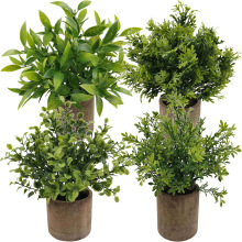 �������ԾGֲֲ����滨�Ҿ��b��R�d����ֲ���辰�����[��