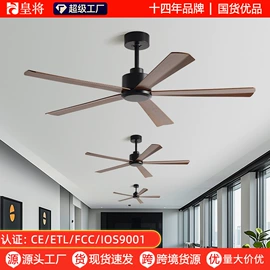 风扇灯;电风扇;吊扇