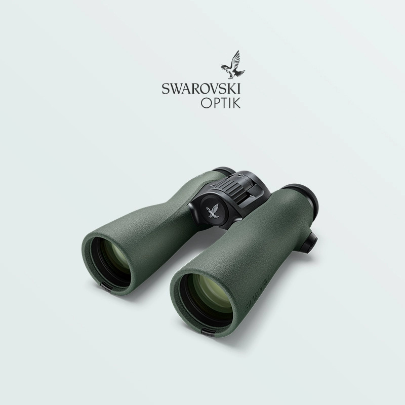 施华洛世奇 Swarovski NL Pure 8x42 10x42 12x42双筒望远镜