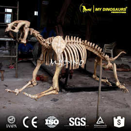 景区仿真动物骨架 主题公园户外陈设博物馆标本展览剑齿虎模型