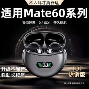 �m���A��Mate60�o���{�����Cmate60pro�¿�2025�\�ӊA��ʽ�ǂ���