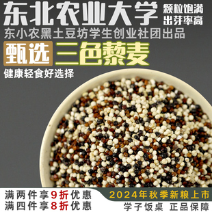 Student's Dining Table Three-Color Quinoa Black Red White Qinghai Quinoa Rice Whole Grains Coarse Grains Quinoa Rice Porridge Companion