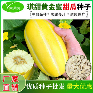 ���l�S������ϷN���r��ˈ@���ζ�����ˬ���SƤ��������Ʒ�N