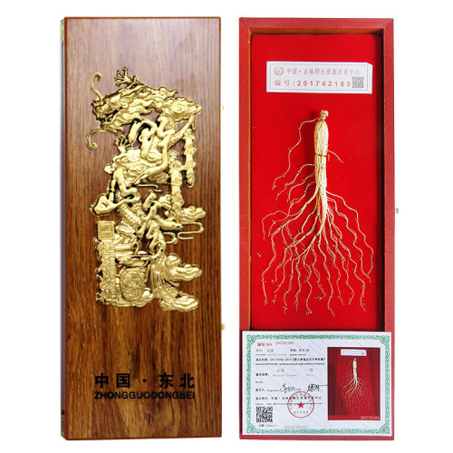 Jilin Ginseng Gift Box, Northeast Specialty Wild Mountain Ginseng, Changbai Mountain Dry Ginseng, Suitable for Sales as Gift, Wholesale Forest Undergrowth Ginseng