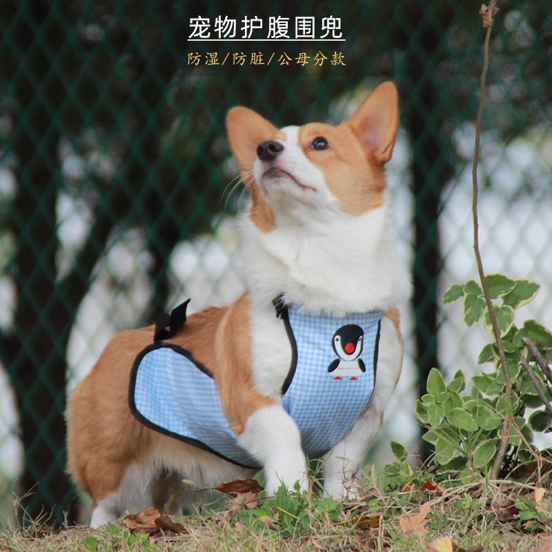 Pet it Corgi waterproof bellyband for rainy days outdoor anti-dirty pet dog bellyband pet clothes divided into male and female cross-border