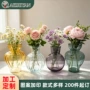水培桌面客厅透明花瓶