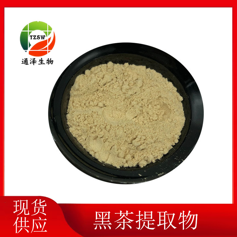 黑茶提取物茶多酚20% 现货供应 黑茶粉 1kg起订黑茶提取物