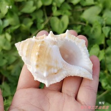 ����ؐ�������ݶ̴��ݼľ�з��Q��ˮ���쾰�ӵ�̨���к������b�