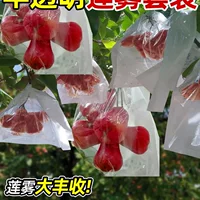 Мешок для упаковки фруктов Lotus Mist, полупрозрачный защитный мешок с черным бриллиантом, защищенный от насекомых и птиц, видимый универсальный дышащий мешок для овощей и фруктов