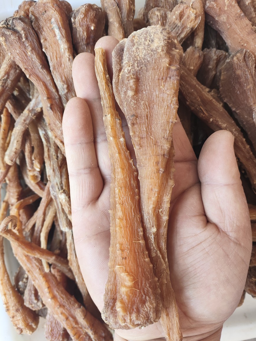 Tibetan Snow Ginseng (藏雪参) — Rare Dried Herbal Root from Tibet, 500g quality and texture