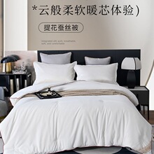 A类蚕丝被纯桑蚕长丝加厚被子子母被芯冬被春秋被空调被四季通用