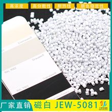 厂家直供造粒吹膜拉丝注塑等白色母粒覆盖强高品质支持拿样
