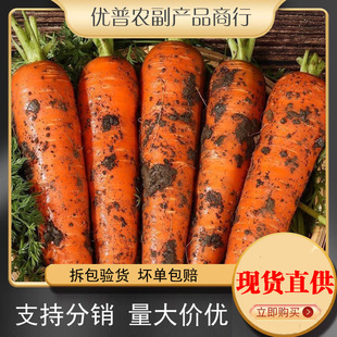 ���}��5���������r�߲˴���ˬ�ڎ�����]3���l10�r�ҬF��ɳ���}��