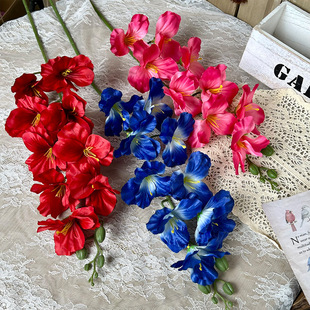 ���m����ٻ�������c�Y�û���·���廨�b��üҾӻ�ˇ��Ʒ