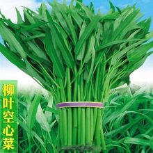 ļ~Ĳ˷N̩Ĳ̨߲͟˷NӰߔ~N