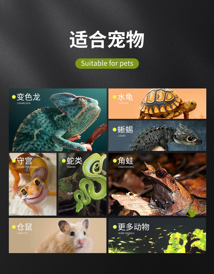 爬宠缸详情改_02