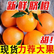 橙子新鲜脐现摘现发新鲜应季水果批发甜薄皮非赣南冰糖果冻厂家