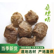 Ұɣ500gɣˮݲɣiꖺ؛؛