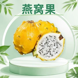 苹果;奇异果猕猴桃;梨
