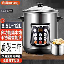 食品级不锈钢多功能智能自动电炖锅隔水炖盅家商用大容量煮粥煲汤