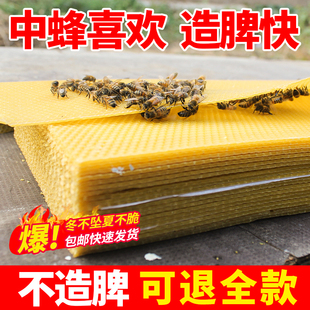 Selection of Cone Nest Foundation Deep House Nest Foundation Pieces Honeycomb Skin Beekeeping Tools Beeswax Nest Base Center Nest Spleen