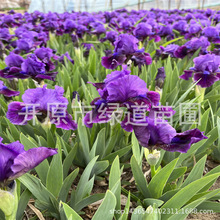 �ͺ��޸������ϻ����SβͥԺ�G���������������S���SβС����