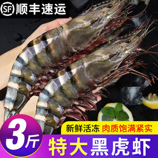 �ڻ��r�������r���r�ϻ��r�r��r�����r���ك����r����Ź��r