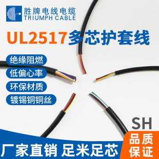 �I��늾���| UL2517��оPVC�o��FEP�^���� �@ʾ�����C����B�Ӿ�