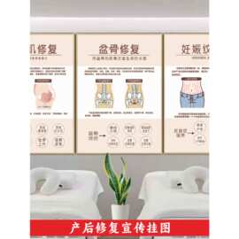产后宣传海报腹直肌广告骨盆乳腺护理图片月子装饰画