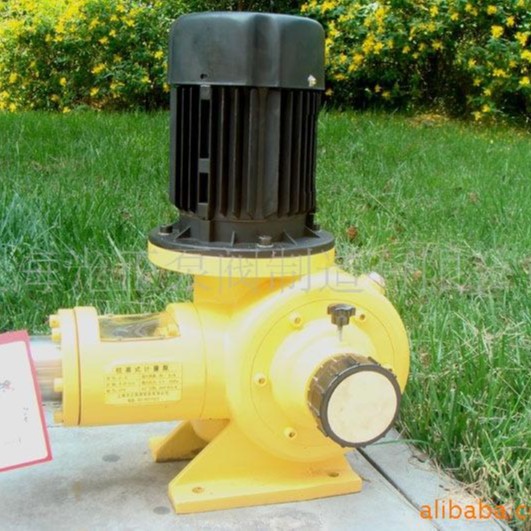 厂家批发销售光正牌立式电磁隔膜计量泵LGZ系列电动塑料计量泵