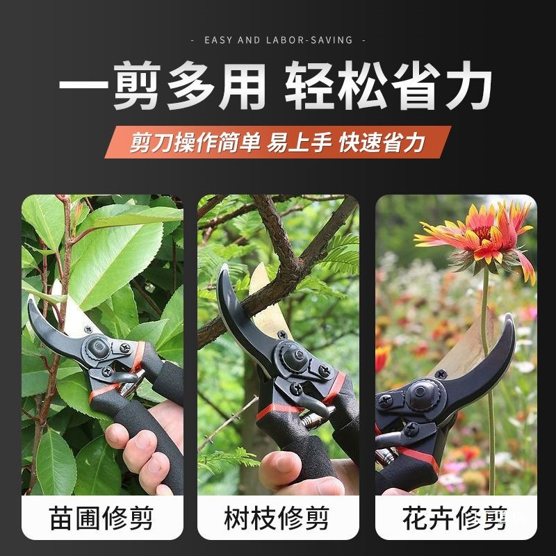 Corte de ramas de acero de importación alemana jardinería horticultura árboles frutales cortar ramas gruesas tijeras de flores especiales JUNXIA