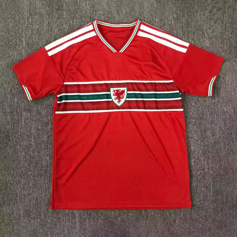 2026 wales home game / S