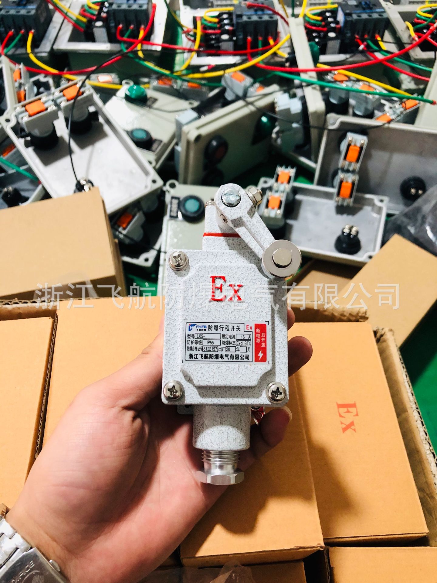 SW-10系列防爆照明开关，防爆开关照明，防爆空气开关，防爆开关