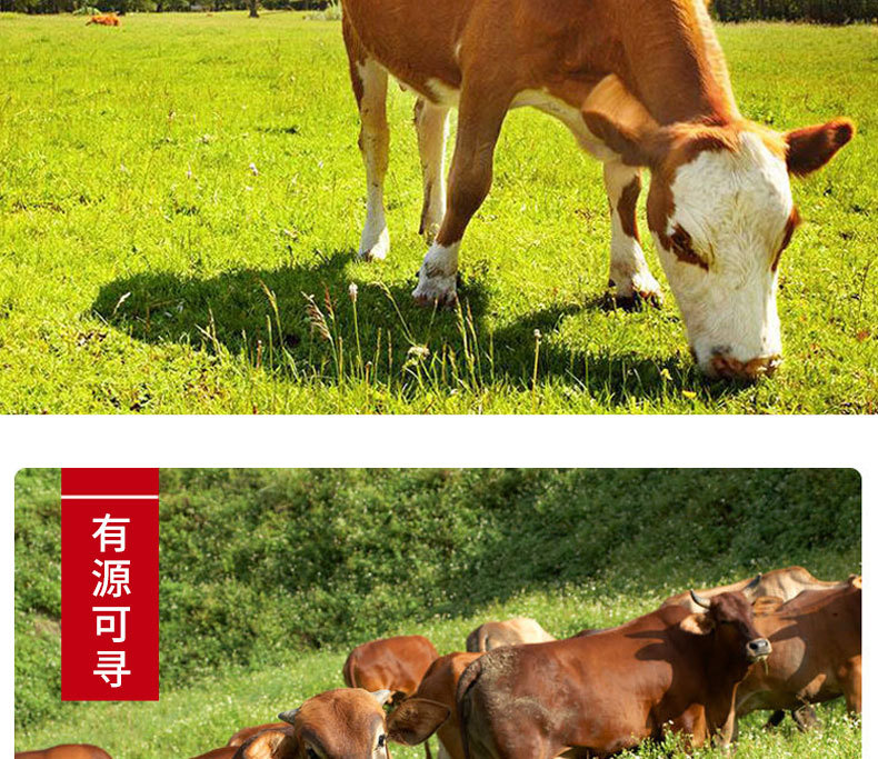 牛腩_06.jpg