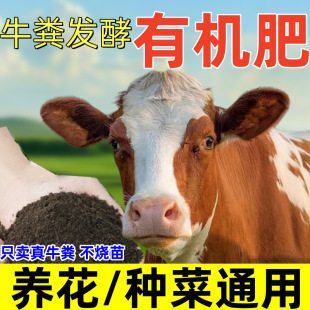 Pure Dry Cow Manure Organic Fertilizer, Universal Cow Manure Nutrient Soil for Growing Flowers and Vegetables, Farmyard Fertilizer, Household Pure Natural Cow Manure Fertilizer Xm