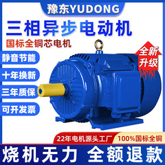 三相 AC 非同期モーター 380V 全銅 1.1/4/5/7.5/11/22/37/45KW kW ye3
