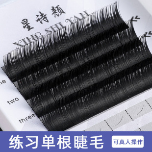 Novice Practice Mixed Single Grafting Eyelash Beauty Eyelash Planting Special 0.12C Round Hair for Beginners Real Grafting