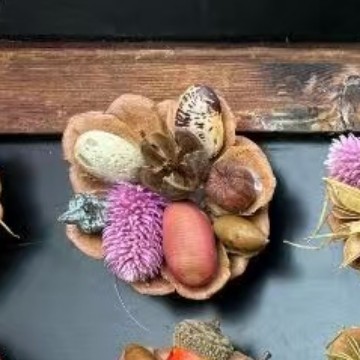 云南松塔真植物diy森系冰箱帖标本伴手礼家居墙面装饰品|undefined